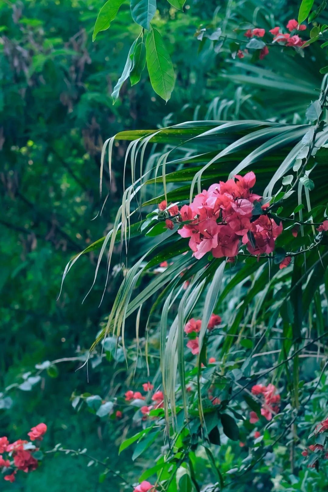 南岸君|文明旅游 ｜ 文明出行，让风景更加美丽