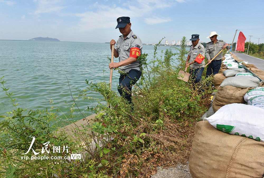 水位|安徽巢湖水位持续下降