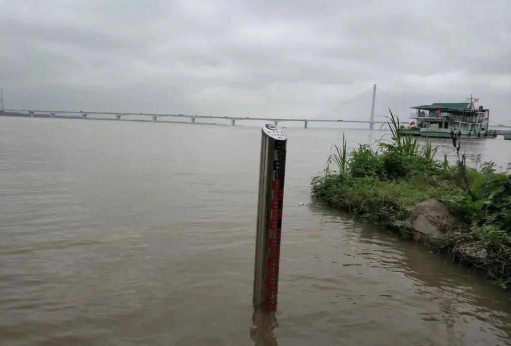 长江沙市段|长江2号洪水即将抵荆！橙色预警！未来三小时....