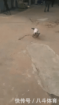  gif|搞笑gif：为了藏5元私房钱，又逼疯了一个