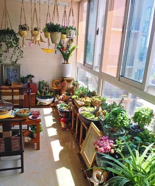  毛病|养花时间长了，就会有这4种“毛病”，你占了几种？