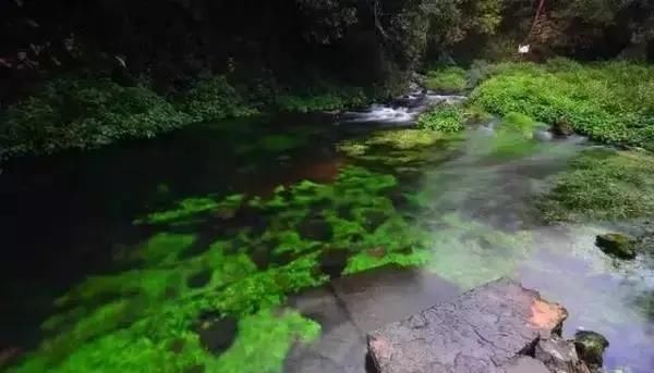  导价的A级|请收下，这是一份很长很全很美的暑期游云南攻略