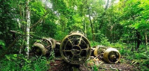 如今|老照片：战犯山本五十六的座机残骸，如今已成当地著名旅游景点！