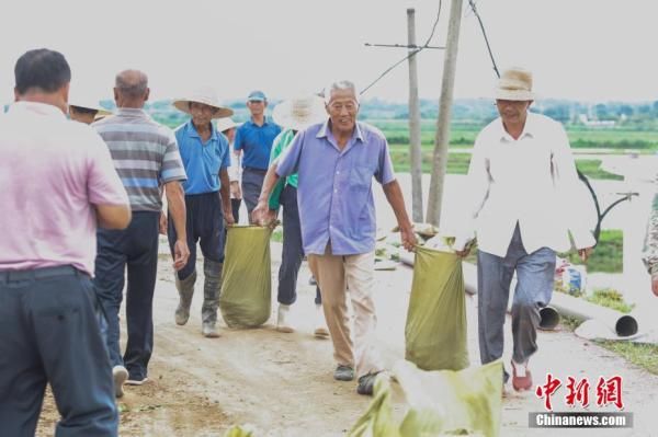 银发|安徽巢湖：唐马圩防汛一线的“银发战士”[组图]