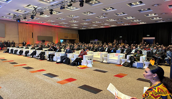 中南新能源投资合作大会在南非成功举行插图3
