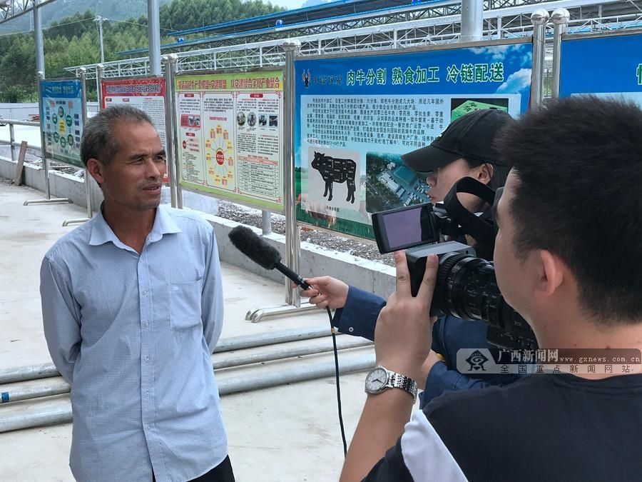 打造|忻城：14亿打造“牛”经济 助力产业扶贫和乡村振兴