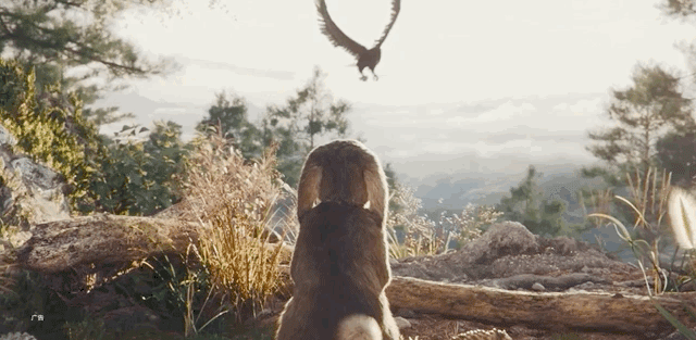  动画|“华为影业”最新动画广告《有惊无险》上线