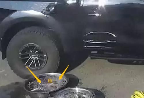  扁担|大爷摆摊鱼盆被剐蹭，拿起扁担就砸车，车主最后倒赔500元