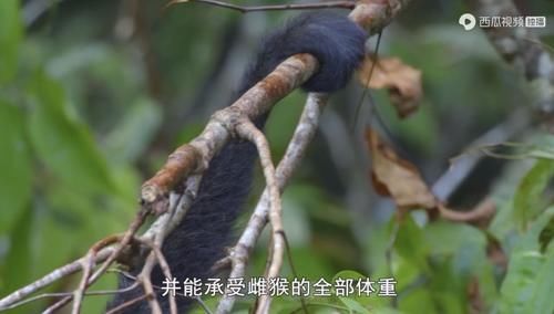  佳作|豆瓣预定超9分的佳作：原来我们错过许多惊喜，真遗憾没早点看到