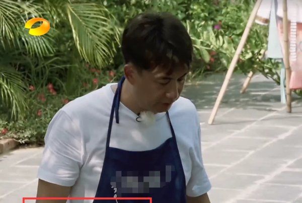  黄磊|《向往的生活》最金贵的嘉宾, 黄磊不敢让她干活, 因为赔不起!