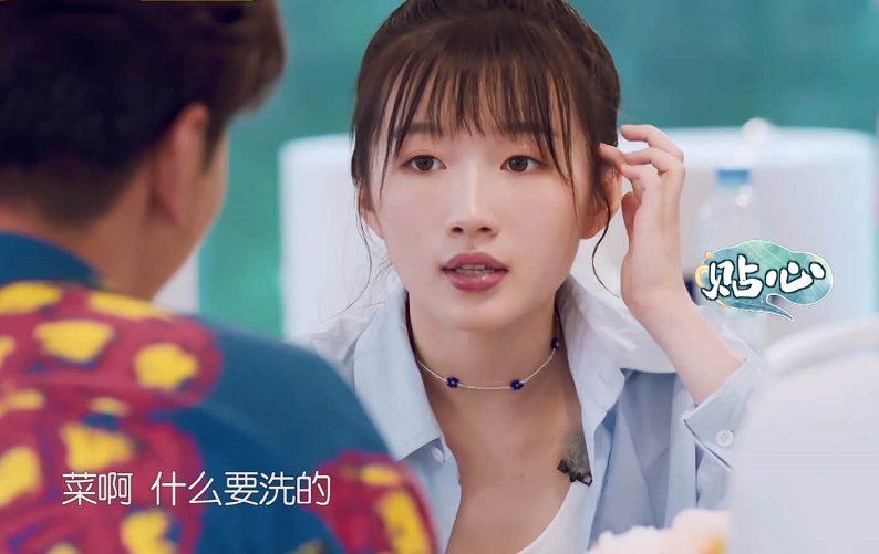  中餐厅|《中餐厅》强捧李浩菲太明显，口才好情商高，镜头比赵丽颖多得多