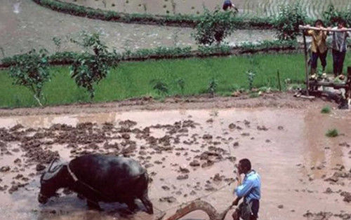 村民们|那个因为众人怂恿，嫁没文化农民的27岁女大学生，最终结局如何