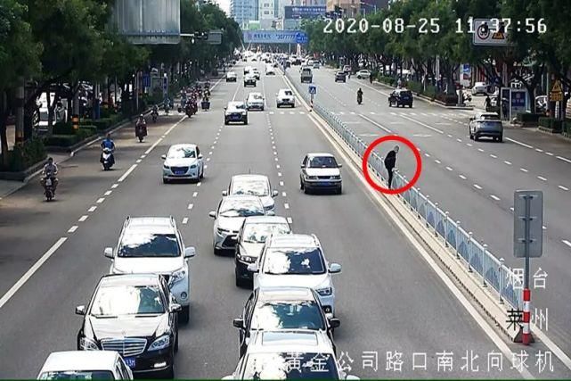 逆向行驶|文明城市靠大家，这些行为不能有！