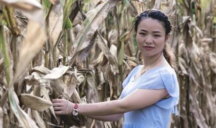  玉米|地里干活的农村妇女最怕这三件事，尤其是最后一件，你经历过吗？