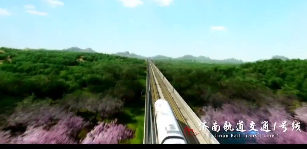 圆满|“青春show,遇见最美长清”短视频创作大赛圆满收官,快来看大奖瓜落谁家