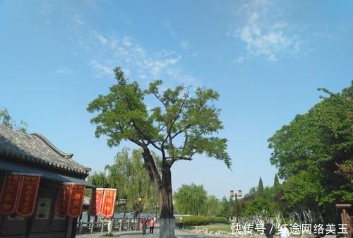 朱棣|他为救百姓,将朱元璋的画像挂于城头!朱棣:把他下油锅炸!