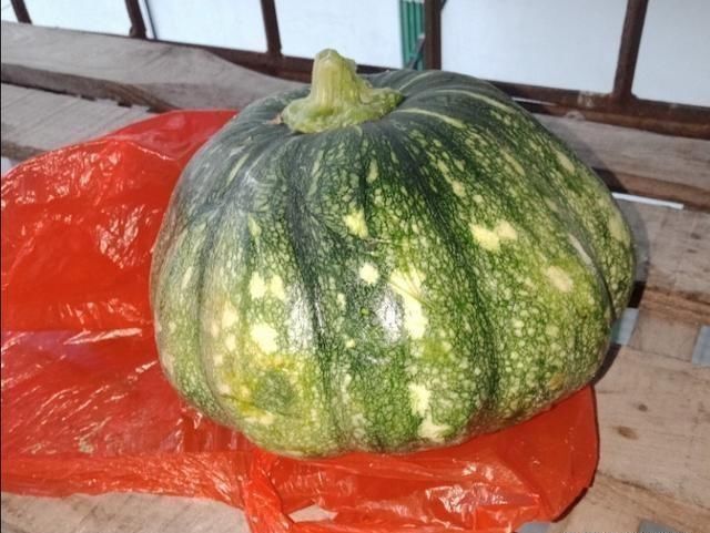 道菜|这道菜做法简单，清香脆嫩，好吃下饭，便宜又实惠