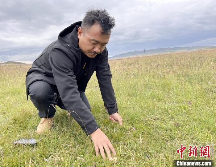 青海唯一的蒙古族自治县：10万余亩“责任田”绘草原诗与远方