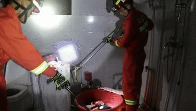  消防人员|蛇出没，请注意！