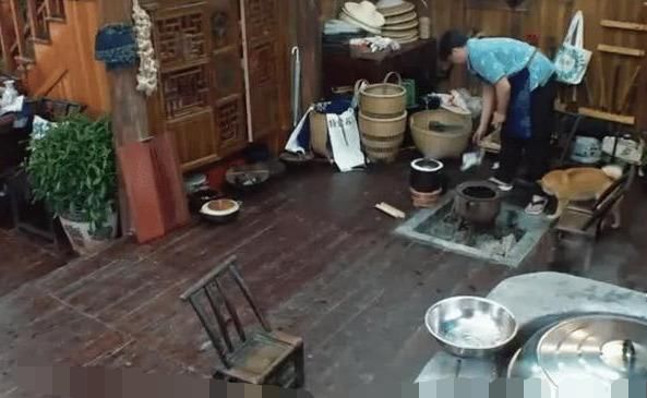 担忧|多少人对黄磊的担忧形成了同一个问题,张子枫终于把它问出来了
