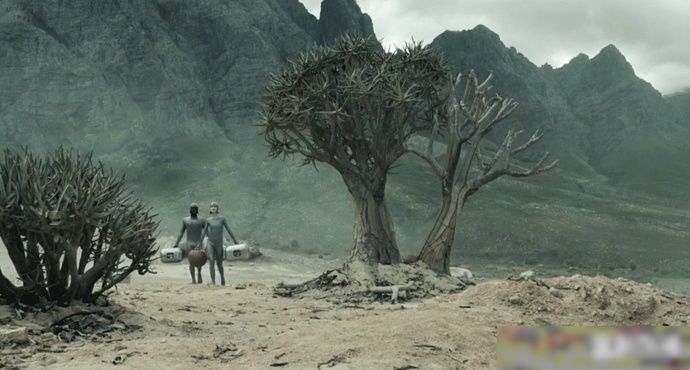 爆款|一集入坑,HBO的爆款新剧,看得我目瞪口呆