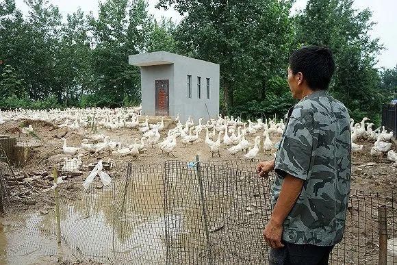 开闸蓄洪|带走与带不走的：淮河蓄洪区两千居民的撤离与留恋｜正午