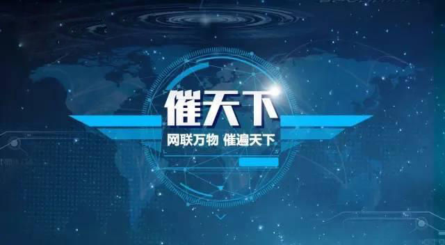 才能|债务担保人怎么才能更好的防范担保风险