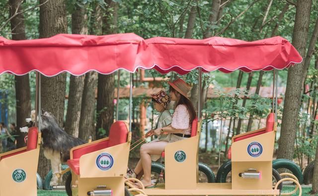  带走多少|无限量捞鱼还能免费全带走！这个暑假太行山自驾游，带娃去虎山