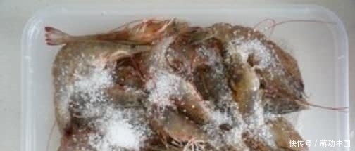 方法|保存大虾,直接丢冰箱就错了大厨教你方法,冻几个月还像刚买的