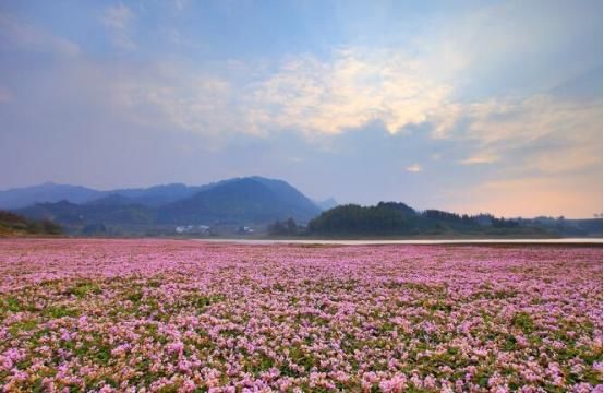  黄山|黄山旅行要去哪？该景区有超静谧的古村落，被誉为东方的日内瓦湖