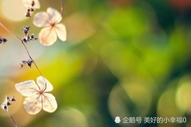  事业|八月开始，事业前程光明，闷头赚钱，运势上等的生肖