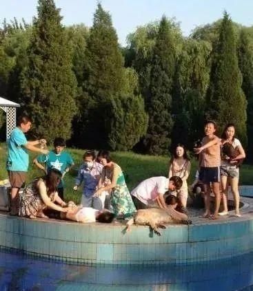  触电|3岁女童公园玩耍时落水，3名大人先后施救不幸触电，2死2伤