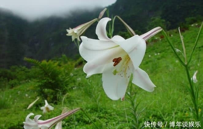 之人|8月开始财运一旺再旺,事业一直发,全家享福的四大生肖