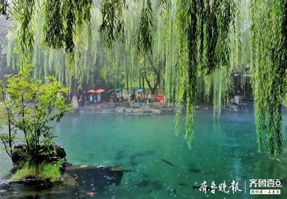 趵突泉|雨中漫步趵突泉,烟雨蒙蒙游人如织