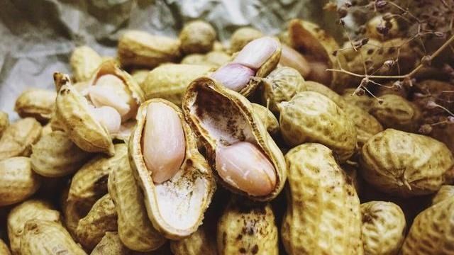 店里|烧烤店里传出来的水煮花生秘方,花生米入味快味道香,不学就亏了