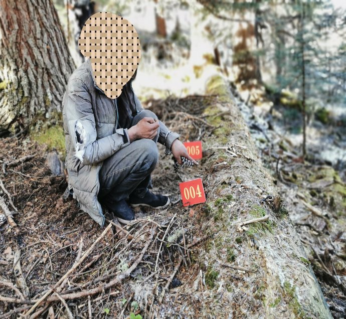 判刑|非法捕猎杀害国家一级保护动物林麝 出售麝香、鹿角等，涉案四人被判刑