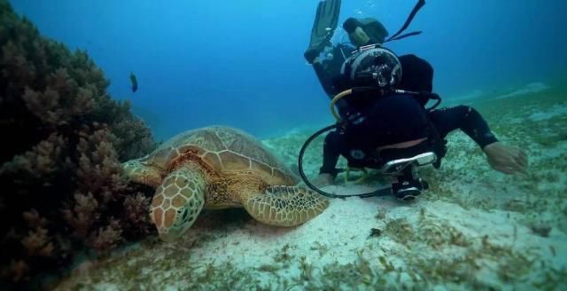  电视剧|热播电视剧《三十而已》原来在这些酒店取景，你认出来了吗？