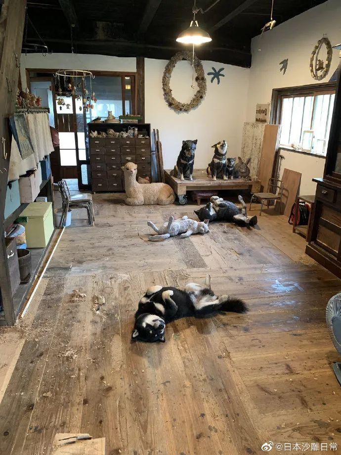  人养|每个人养肉人都应该学会鉴赏“兜”