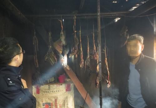 侦办|北川公安局侦办的4起非法狩猎案被法院依法宣判