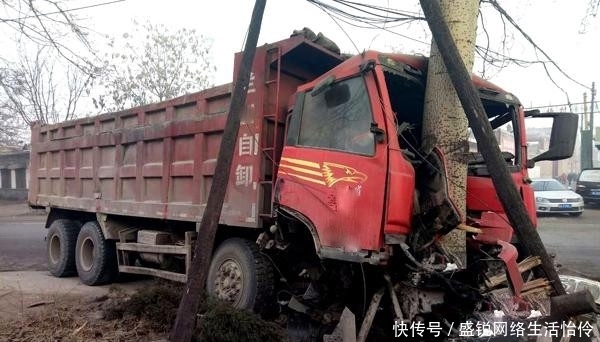  保险公司|朴树被“撞断”树枝，司机要赔13.7万！