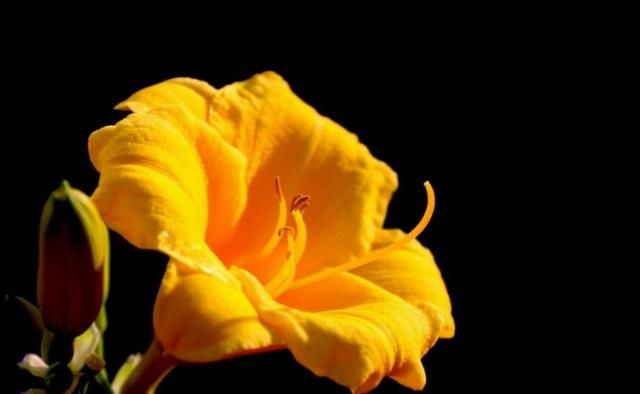  星座|未来十天，十里桃林，良缘涌现，相知相守，跟爱情结缘的4大星座