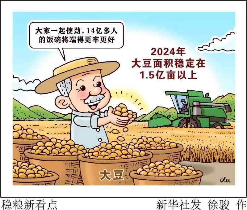 新华鲜报|中国稳粮新看点！ “金豆豆”1.5亿亩以上