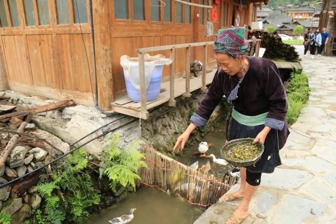  黄岗|村光灿烂 | 如果认识陶渊明，我一定让他到黄岗来。