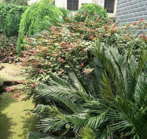 农村|去男友乡下老家,他说的茅草房原来是别墅,感觉自己赚翻了