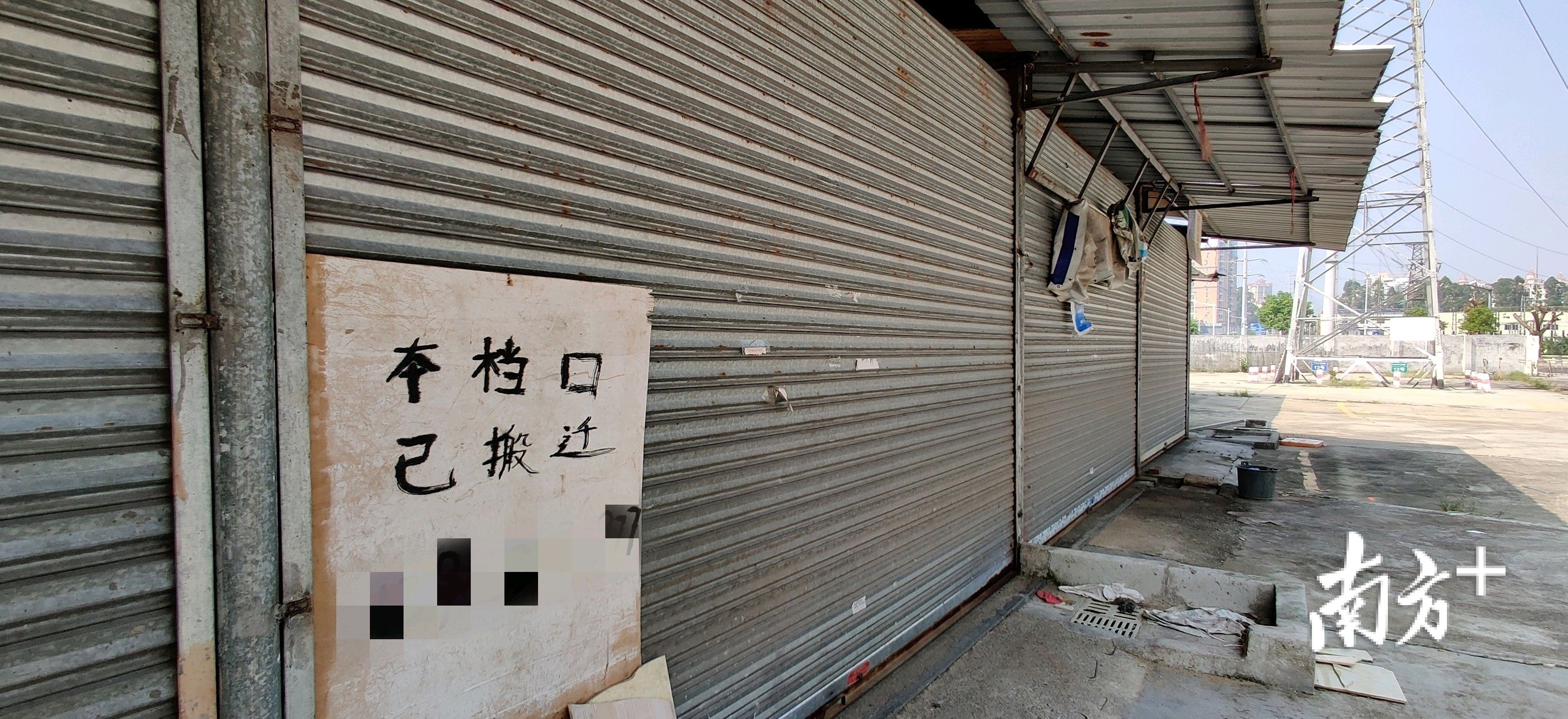 疑似|追踪丨蓬江严查售卖野生动物违法行为，暂扣16只疑似“石金钱”