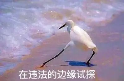  获刑|90后留学生“带飞”化妆品获刑！这个细节让人震惊……