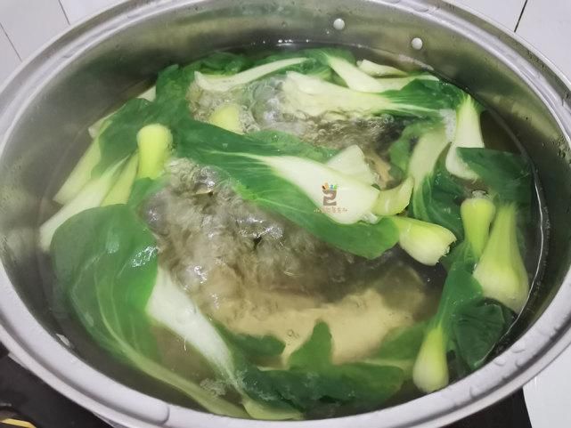  分钟|三伏天就馋这碗茄丁凉面，10分钟上桌，清爽开胃又营养，吃不够