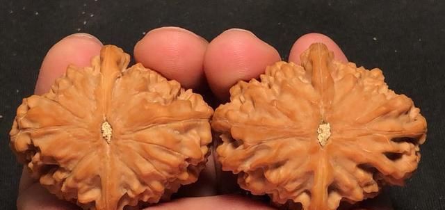  样子|好的核桃到底是什么样子的