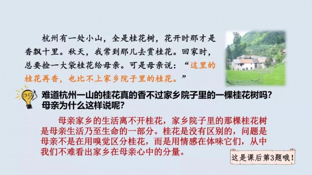 桂花|【预习】部编版五年级语文上册第3课《桂花雨》图文讲解