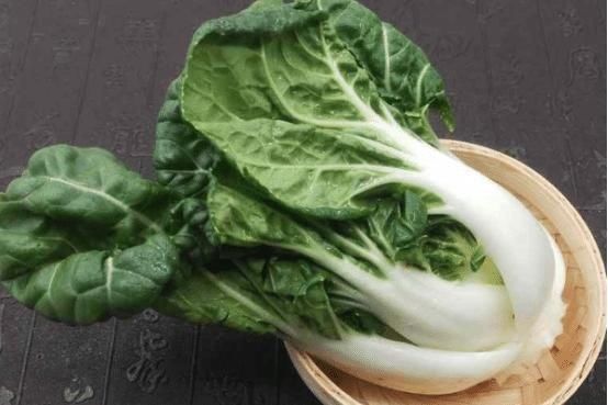 就可以|奶油小白菜吃起来很美味，种植时需要注意这些，一起来看看吧